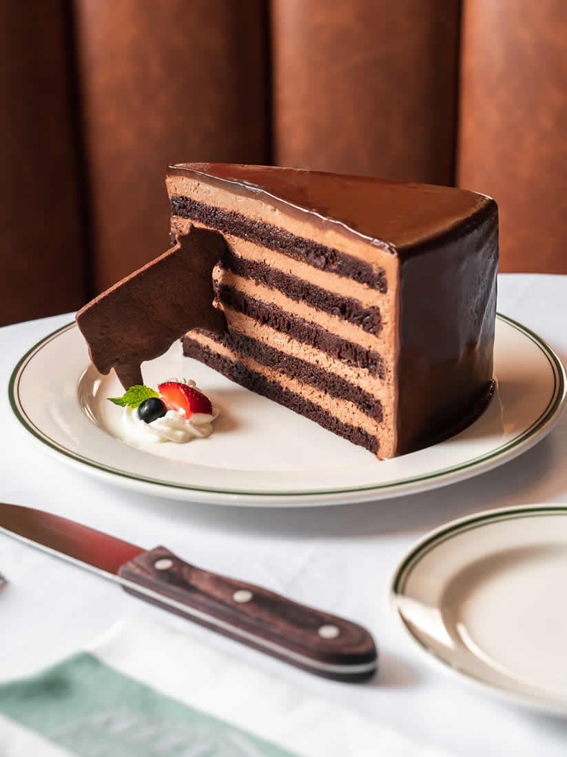 Gigantic five-layer chocolate cake